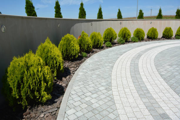 Reasons to Select Us for Your Driveway Paving Requirements in Braidwood, IL