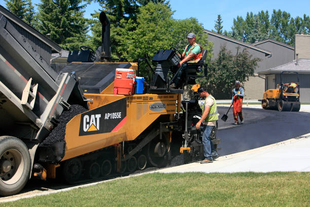 Best Driveway Paving Contractor  in Braidwood, IL